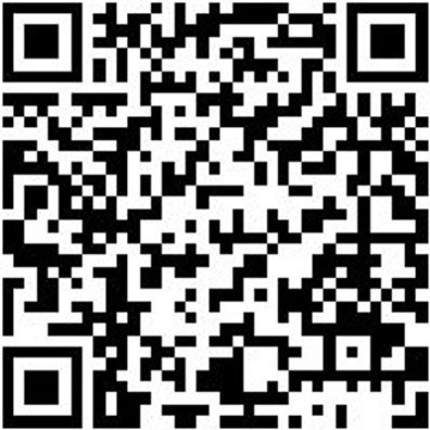 Werkstattfeile Wrkstfeil-3Kt-H2-L250Mm