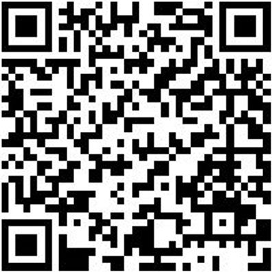 Werkstattfeile Wrkstfeil-3Kt-H3-L200Mm