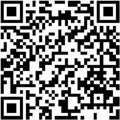 Werkstattfeile Wrkstfeil-4Kt-H1-250Mm