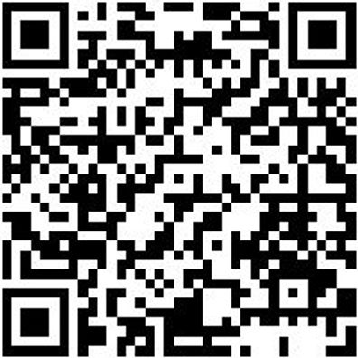 Werkstattfeile Wrkstfeil-4Kt-H2-250Mm