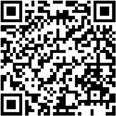 Werkstattfeile Wrkstfeil-4Kt-H3-250Mm