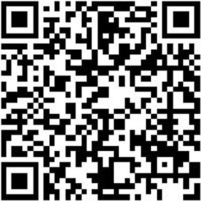 Werkstattfeile Wrkstfeil-Halbrd-H1-200Mm