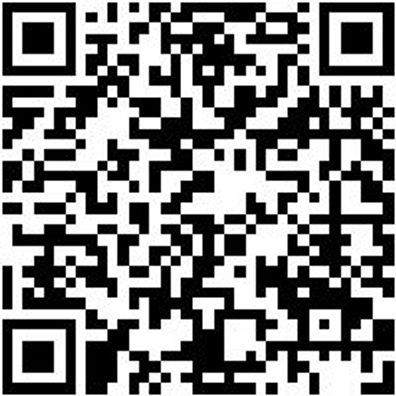 Werkstattfeile Wrkstfeil-Halbrd-H1-250Mm