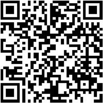 Werkstattfeile Wrkstfeil-Halbrd-H1-300Mm