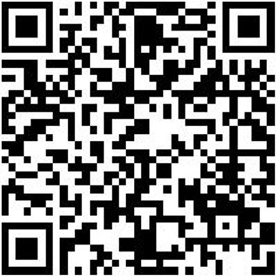 Werkstattfeile Wrkstfeil-Halbrd-H2-200Mm