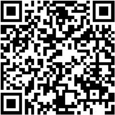 Werkstattfeile Wrkstfeil-Halbrd-H2-250Mm