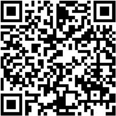 Werkstattfeile Wrkstfeil-Halbrd-H2-300Mm