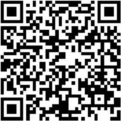 Werkstattfeile Wrkstfeil-Halbrd-H3-150Mm