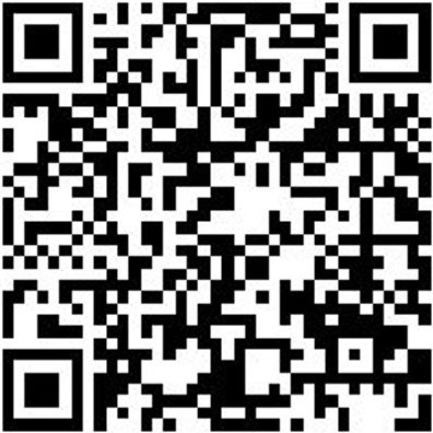 Werkstattfeile Wrkstfeil-Halbrd-H3-200Mm