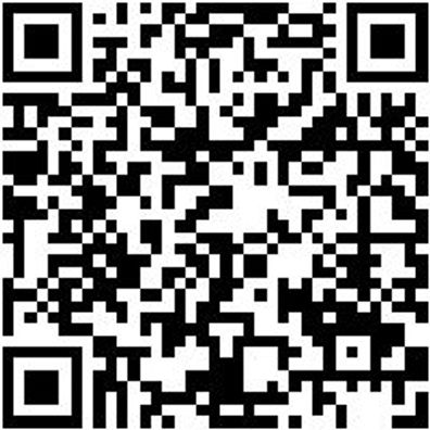 Werkstattfeile Wrkstfeil-Halbrd-H3-250Mm