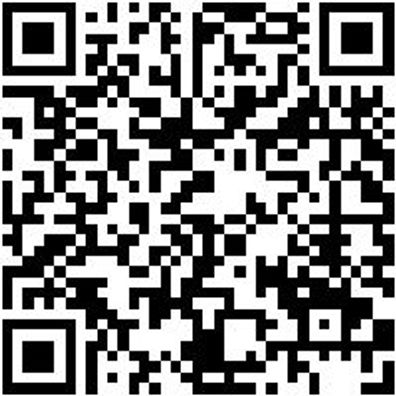 Werkstattfeile Wrkstfeil-Halbrd-H3-300Mm