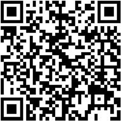 Werkstattfeile Wrkstfeil-Rd-H1-150Mm