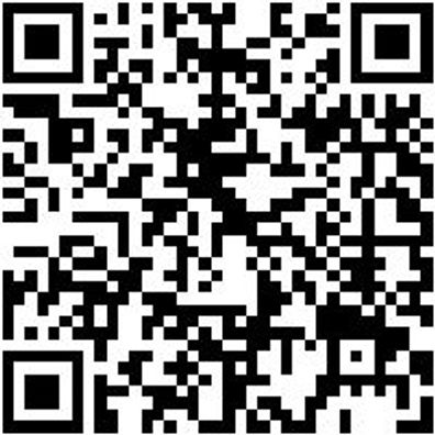 Werkstattfeile Wrkstfeil-Rd-H1-200Mm