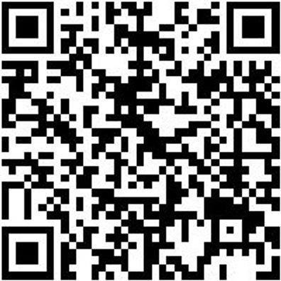 Werkstattfeile Wrkstfeil-Rd-H1-250Mm