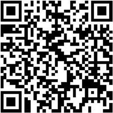 Werkstattfeile Wrkstfeil-Rd-H1-300Mm