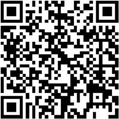 Werkstattfeile Wrkstfeil-Rd-H2-200Mm