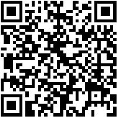 Werkstattfeile Wrkstfeil-Rd-H2-250Mm