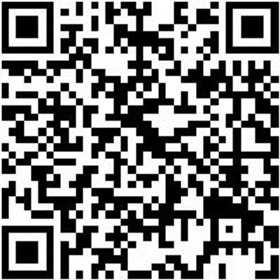 Werkstattfeile Wrkstfeil-Rd-H3-150Mm