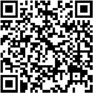 Werkstattfeile Wrkstfeil-Rd-H3-200Mm