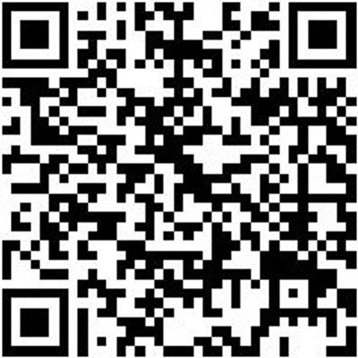 Werkstattfeile Wrkstfeil-Rd-H3-250Mm