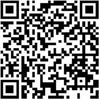 Werkstattfeile Wrkstfeil-4Kt-H1-L150Mm