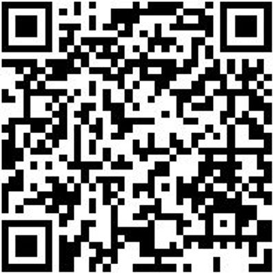 Werkstattfeile Wrkstfeil-4Kt-H2-L150Mm