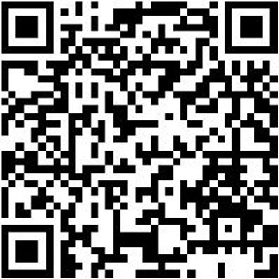 Werkstattfeile Wrkstfeil-4Kt-H3-L150Mm