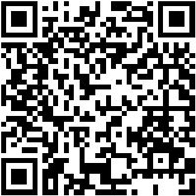 Werkstattfeile Wrkstfeil-4Kt-H1-L200Mm