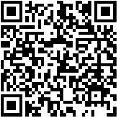 Werkstattfeile Wrkstfeil-Fl-H2-L200Mm