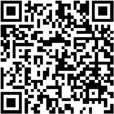 Werkstattfeile Wrkstfeil-Fl-H2-L250Mm