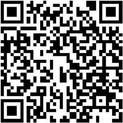 Trockenbohrkrone Diamant Bokro-Tro-Dia-Ls-1 1/4Zo-D250-Al400