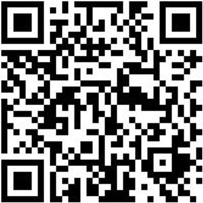 System-Box Sysbox-2.1.1.-Grau