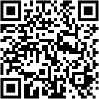 System-Box Sysbox-2.2.1.-Grau