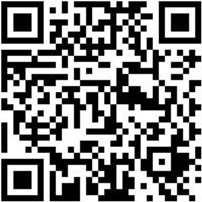 System-Box Sysbox-2.4.2.-Grau