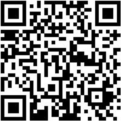 System-Box Sysbox-2.4.1.-Grau