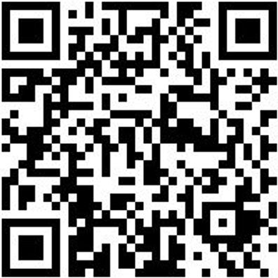 System-Box Sysbox-2.1.2.-Grau