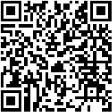 System-Einlage Syseinlg-Rstrshaum-Sysko-4.4.1