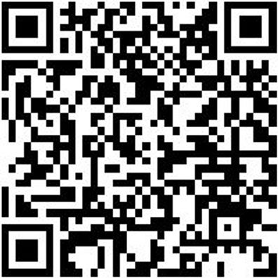 System-Einlage Syseinlg-Unbearbt-8.4.1