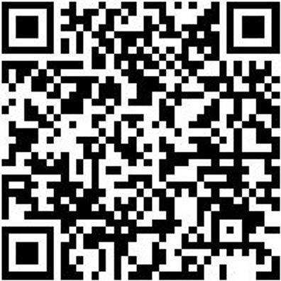 System-Einlage Syseinlg-Unbearbt-8.4.2