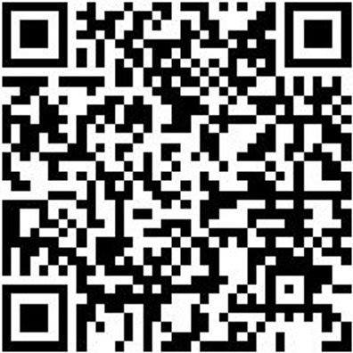 System-Einlage Syseinlg-Unbearbt-4.4.2