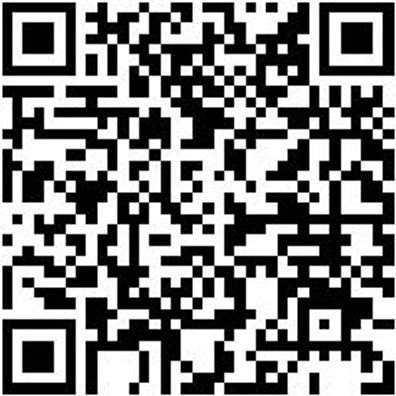 System-Einlage Syseinlg-Unbearbt-4.4.1