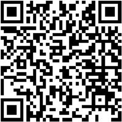 System-Einlage Syseinlg-Rstrshaum-Sysko-8.4.3