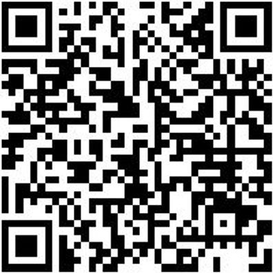 System-Einlage Syseinlg-Schaum-(F.5964089380)