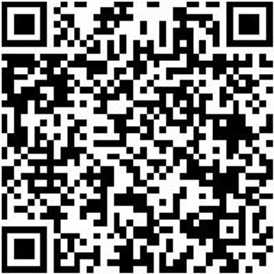 System-Einlage Syseinlg-8.4.5-Chemie-Schaum