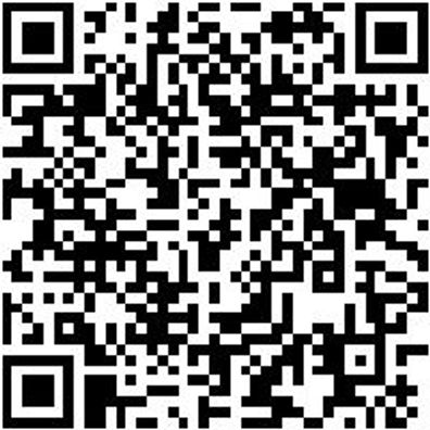 System-Koffer Leersortiment 4.4. Syskoffr-4.4.2.-Box-2Stk