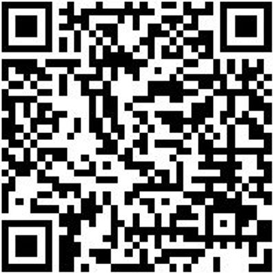 System-Koffer Leersortiment 4.4. Syskoffr-4.4.1.-Tfztl-5Fach