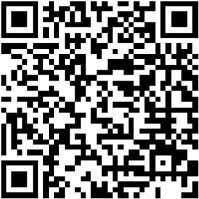 System-Koffer Leersortiment 4.4. Syskoffr-4.4.1.-Tfztl-20Fach