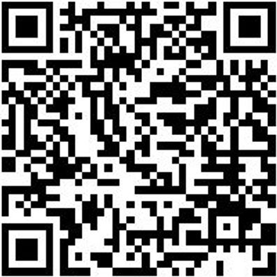 System-Koffer Leersortiment 4.4. Syskoffr-4.4.2.-Tfztl-8Fach