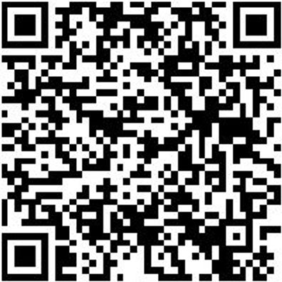 System-Koffer Leersortiment 4.4. Syskoffr-4.4.1.-Box-11Stk