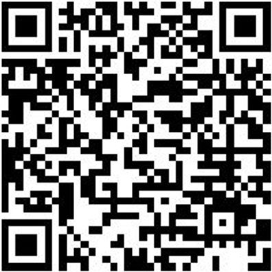 System-Koffer Leersortiment 4.4. Syskoffr-4.4.1.-Tfztl-16Fach